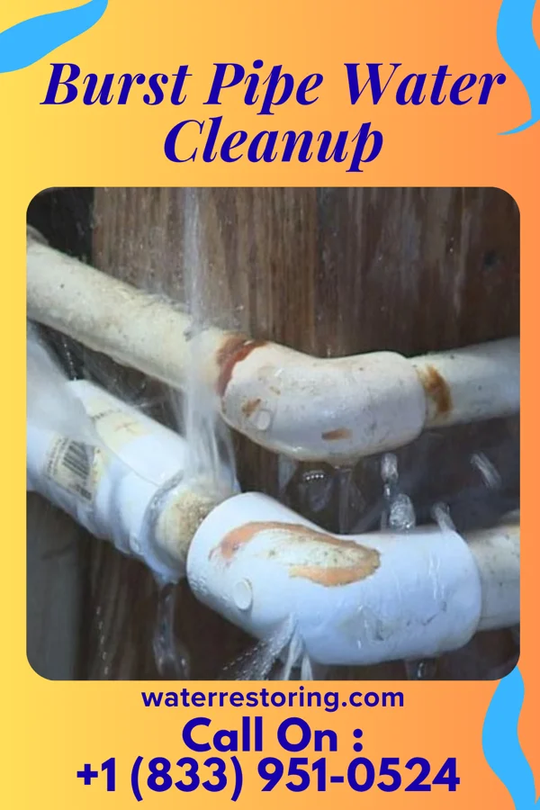 Burst Pipe Water Cleanup in Fairfield, PA