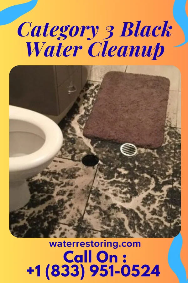 Category 3 Black Water Cleanup in Fairfield, PA