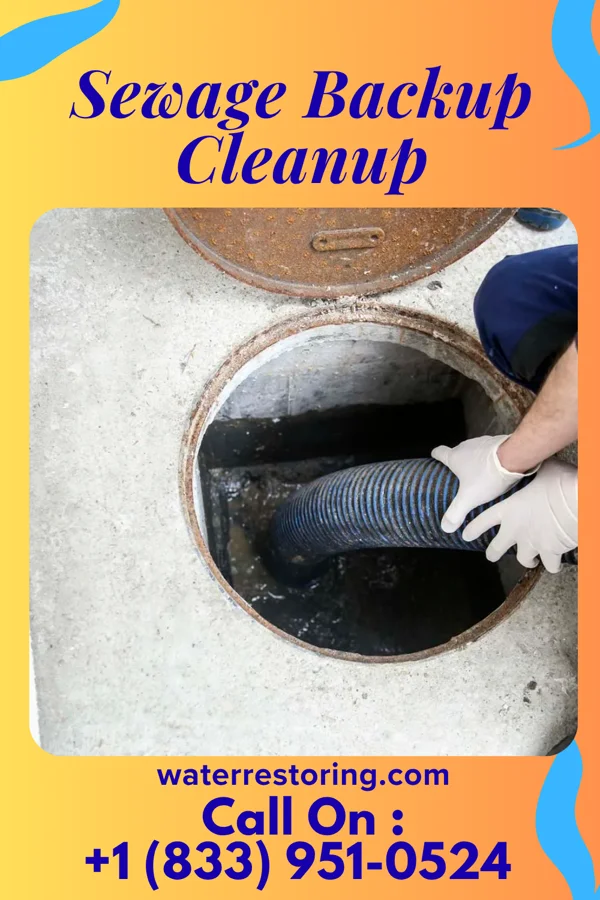 Sewage Backup Cleanup in Fairfield, PA