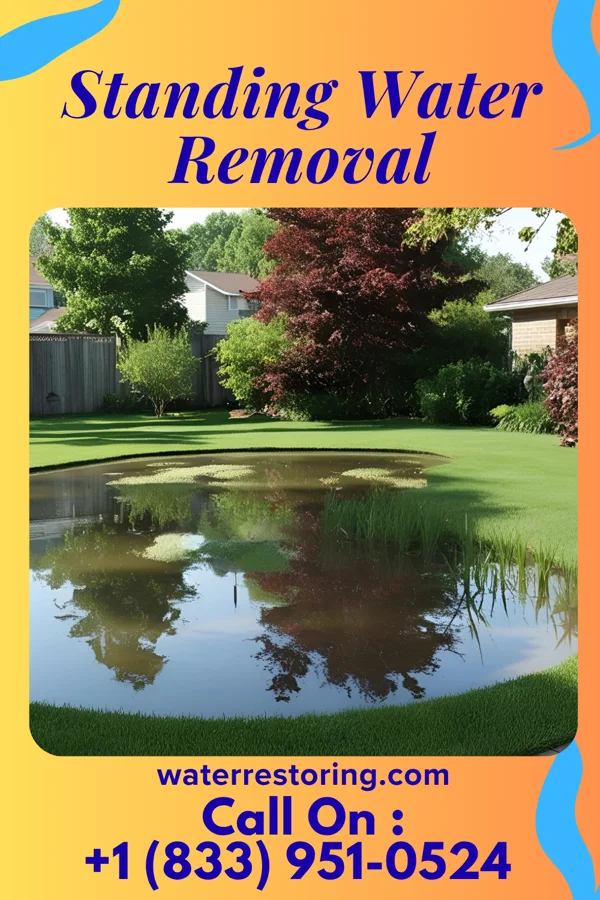 Standing Water Removal in Fairfield, PA